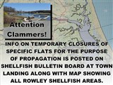 Clam Flats